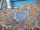 image of grave number 619067